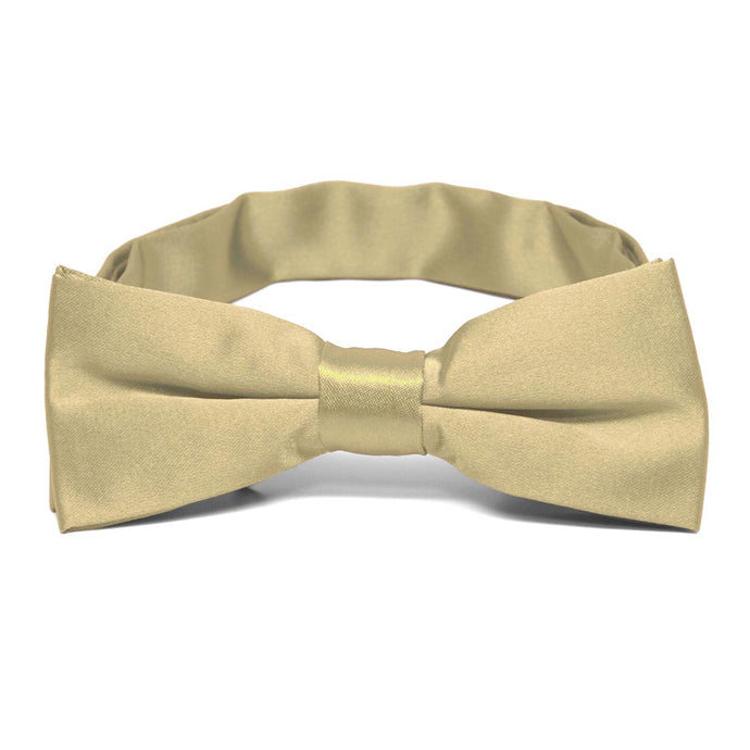 Boys' Sparkling Champagne Bow Tie