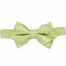 Load image into Gallery viewer, &quot;&quot;