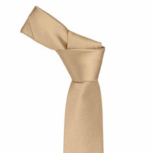 Load image into Gallery viewer, Boys' Bronze Solid Color Necktie