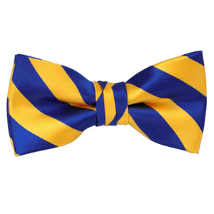 A boys' royal blue and golden yellow striped bow tie