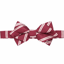 Load image into Gallery viewer, ""