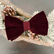 Load image into Gallery viewer, A burgundy velvet bow tie displayed with pine needs and pinecones