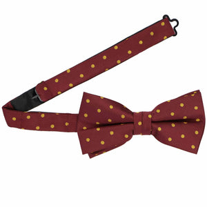 An open band collar on a maroon and gold polka dot bow tie
