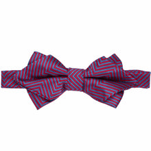 Load image into Gallery viewer, ""