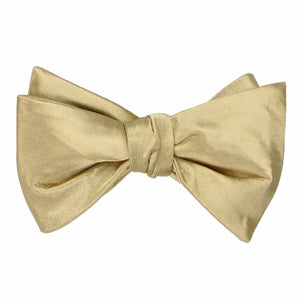 A solid color sparkling champagne self-tie bow tie, tied