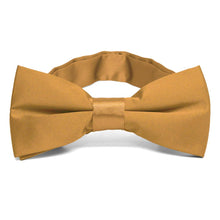 Load image into Gallery viewer, Antique Gold Band Collar Bow Tie