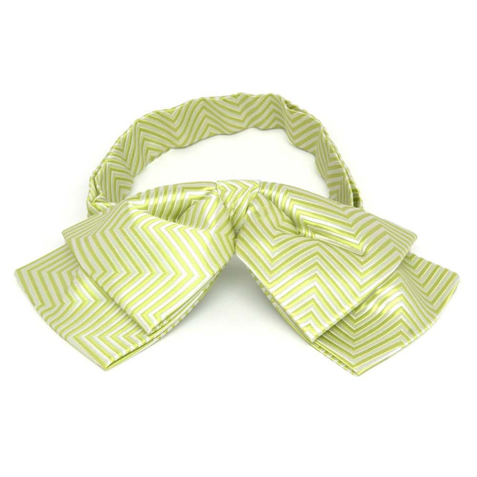 Front view of a bright green and white floppy bow tie