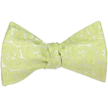 Load image into Gallery viewer, An apple green paisley self-tie bow tie, tied