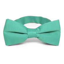 Load image into Gallery viewer, Aquamarine Band Collar Bow Tie