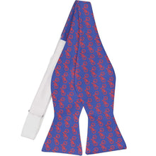 Load image into Gallery viewer, An untied bow tie in a blue and red bicycle pattern