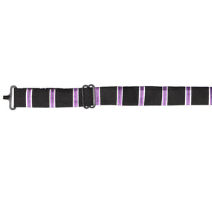 The band collar on a black and purple striped floppy bow tie