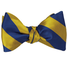 Load image into Gallery viewer, A blue velvet and gold striped self-tie bow tie, tied