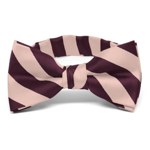 Boys' Petal and Wine Striped Bow Tie