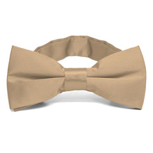 Load image into Gallery viewer, Bronze Band Collar Bow Tie