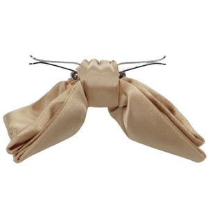 Bronze clip-on bow tie, open view