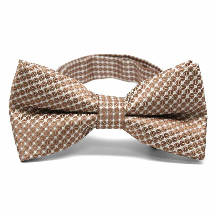 Light brown circle pattern bow tie, front view