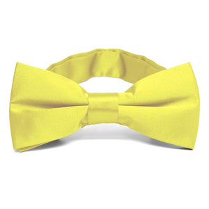 Daffodil Yellow Band Collar Bow Tie
