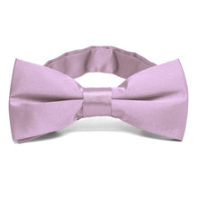 Load image into Gallery viewer, English Lavender Band Collar Bow Tie
