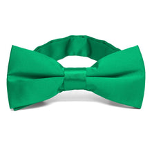 Load image into Gallery viewer, Green Band Collar Bow Tie