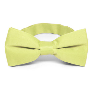 Lemon Lime Band Collar Bow Tie