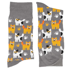 Load image into Gallery viewer, A pair of gray socks with scattered kittens