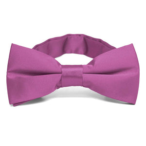 Orchid Band Collar Bow Tie