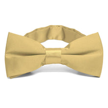 Load image into Gallery viewer, Pale Gold Band Collar Bow Tie