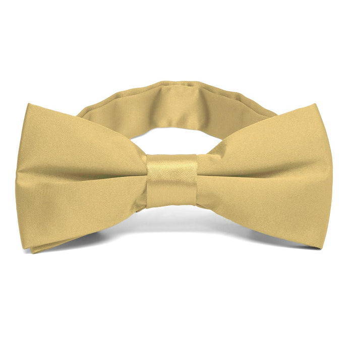Pale Gold Band Collar Bow Tie