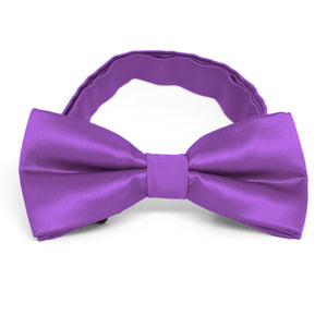 Plum Violet Band Collar Bow Tie