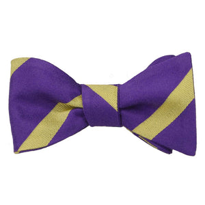 A purple and gold striped self-tie bow tie, tied