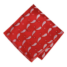 Load image into Gallery viewer, Red Fairport Paisley Pocket Square