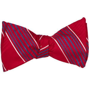 A red plaid self-tie bow tie, tied