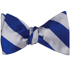 Royal blue and silver striped self-tie bow tie, tied
