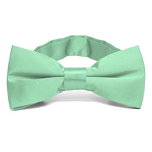 Load image into Gallery viewer, Seafoam Band Collar Bow Tie
