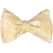 Load image into Gallery viewer, A yellow paisley self-tie bow tie, tied