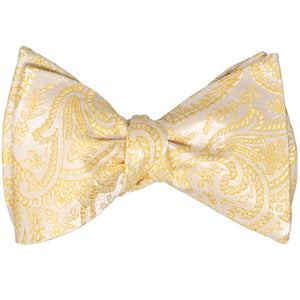A yellow paisley self-tie bow tie, tied