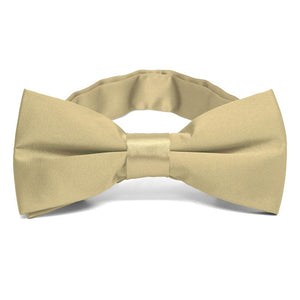 Sparkling Champagne Band Collar Bow Tie