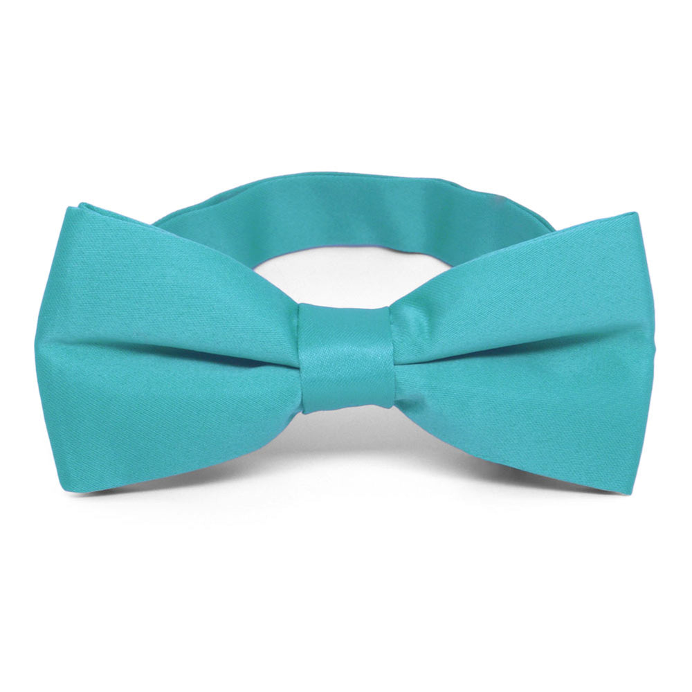 Turquoise Band Collar Bow Tie
